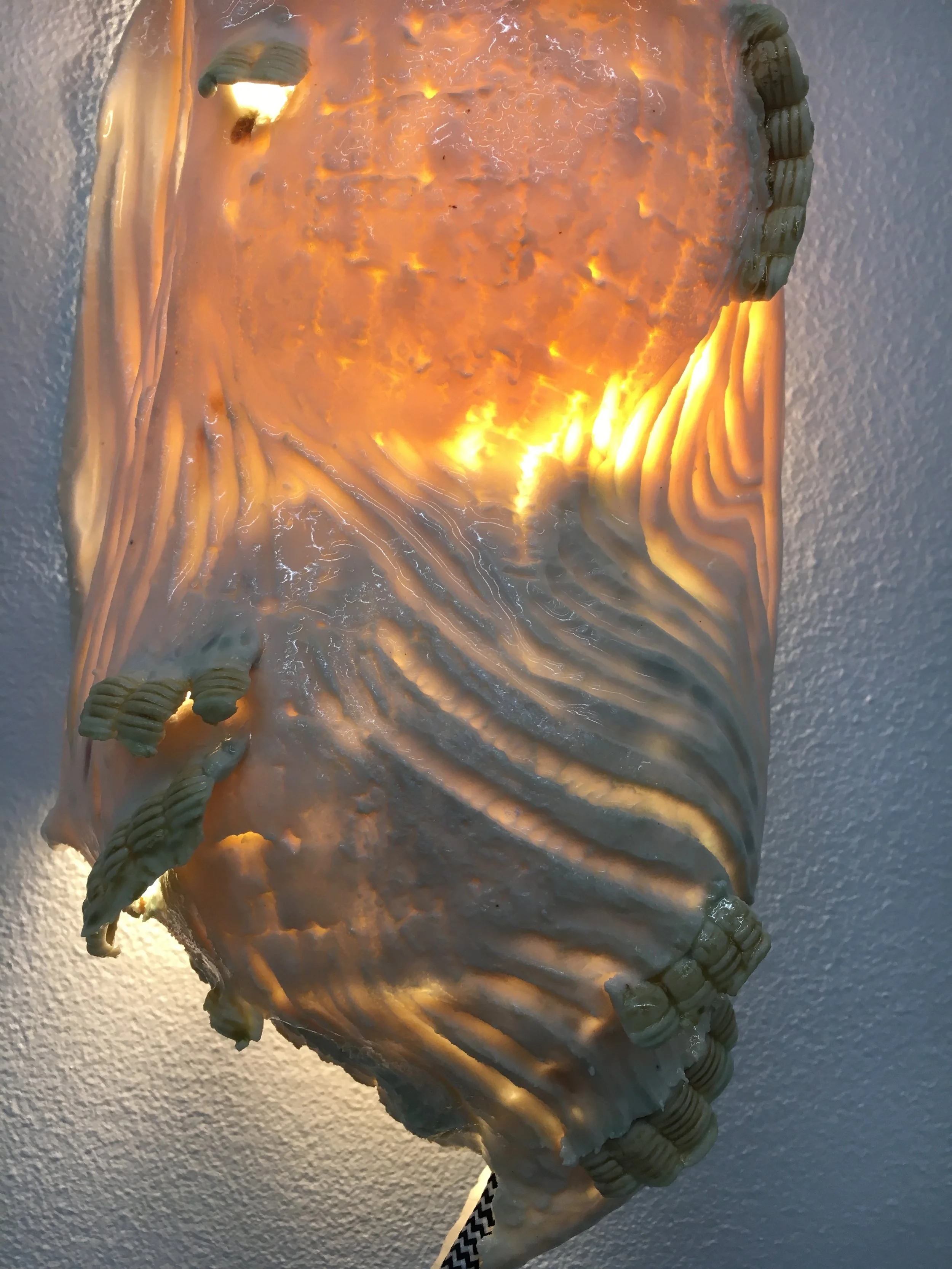 Liquid Light (Detail)