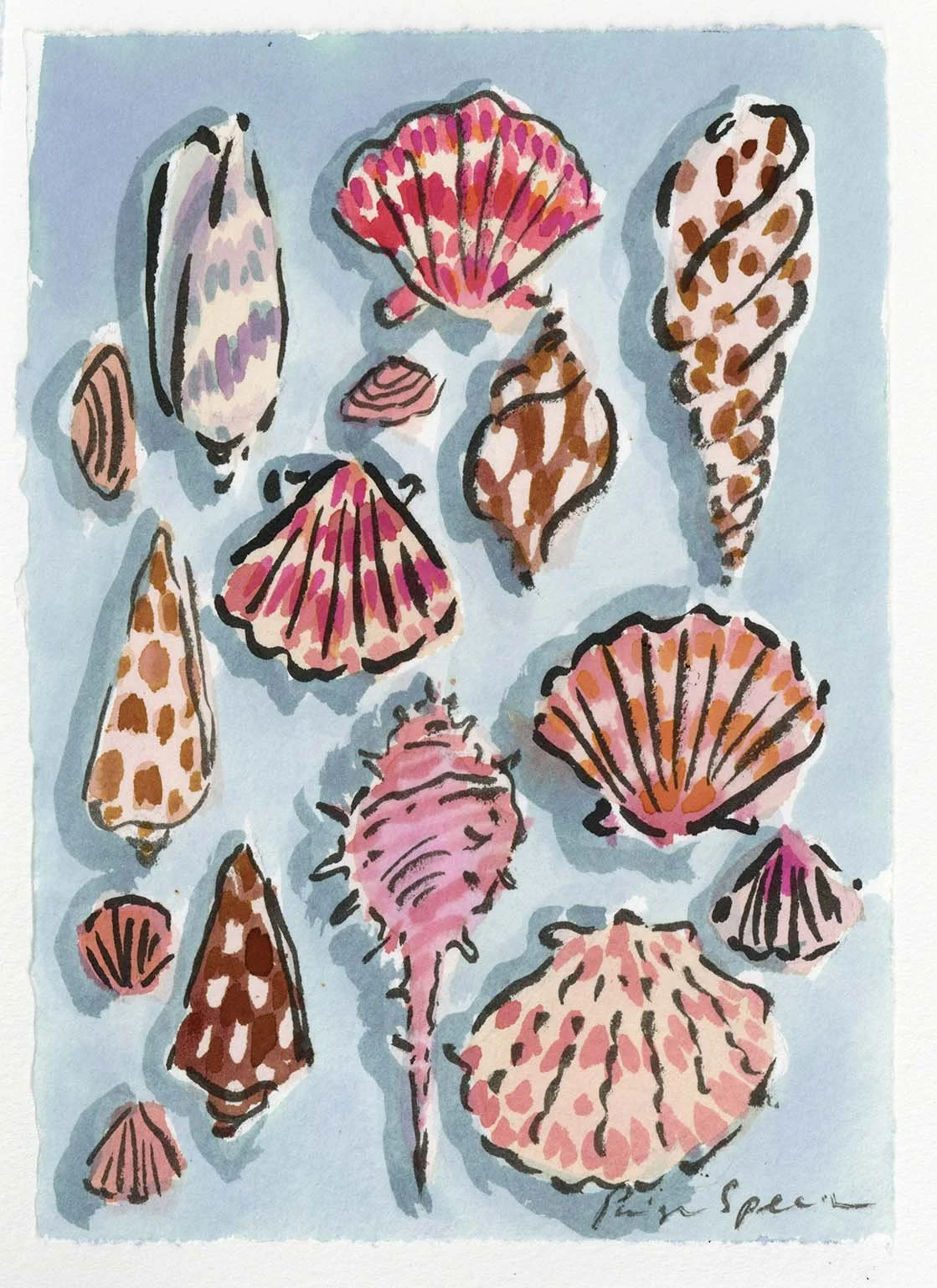 summershellcollection.jpg