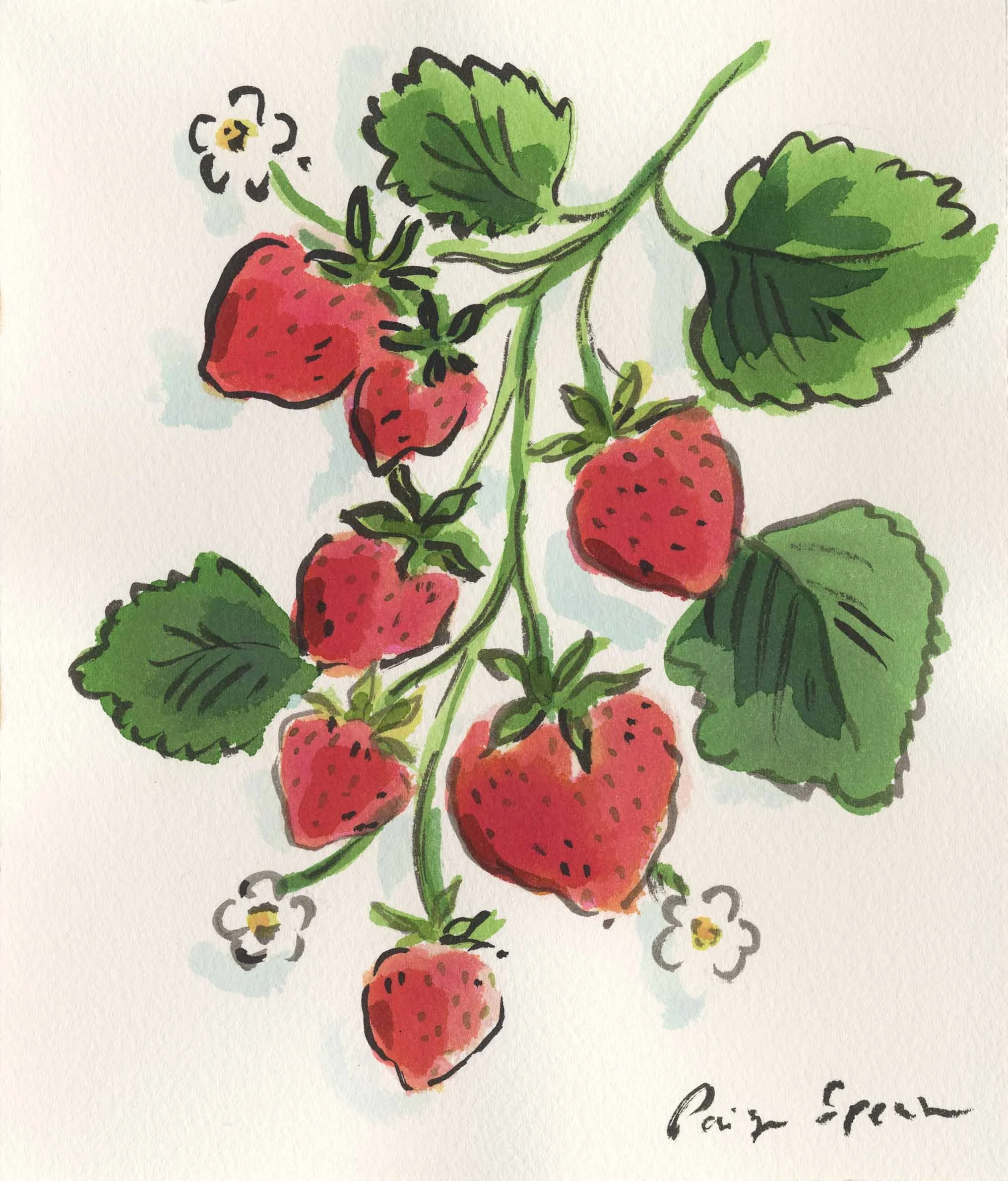 Summer Strawberries (SOLD)