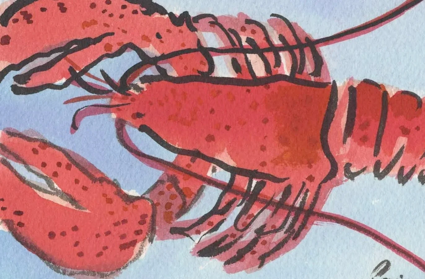Little Lobster