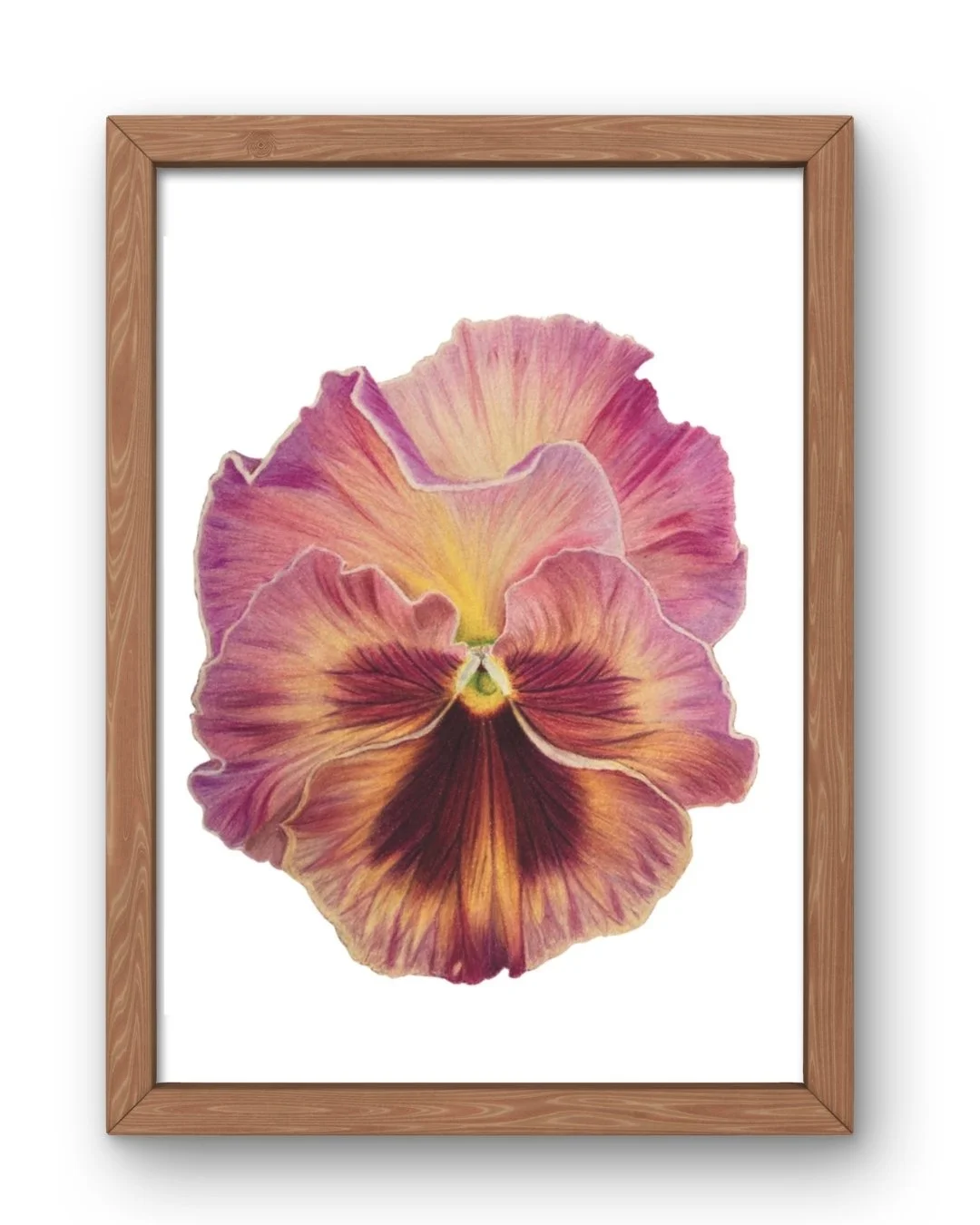 Print Viooltje Roze