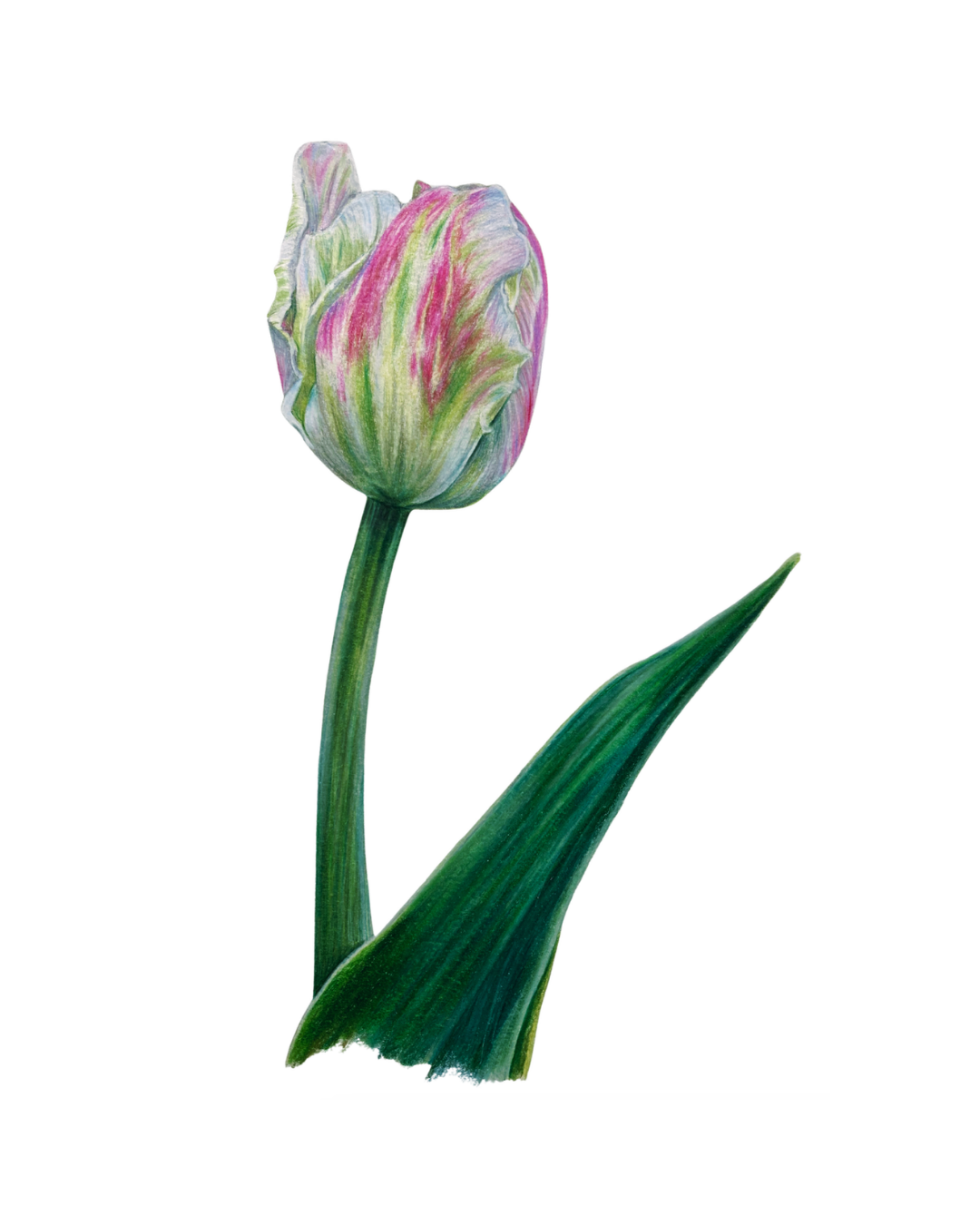 6.png