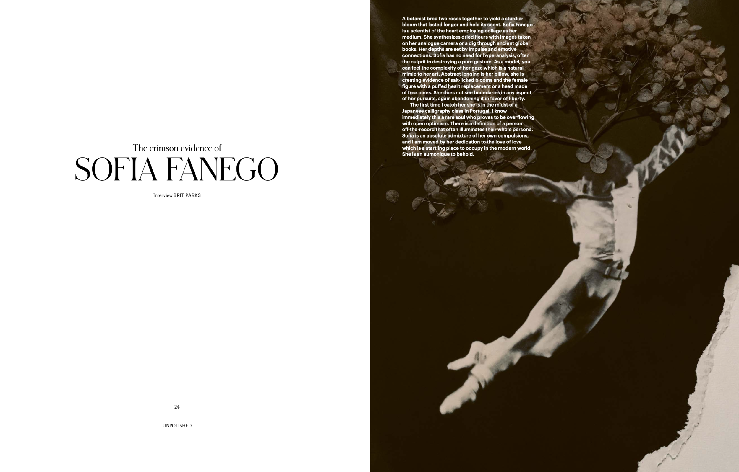 Screen Shot 2020-09-14 at 12.10.35 PM.png