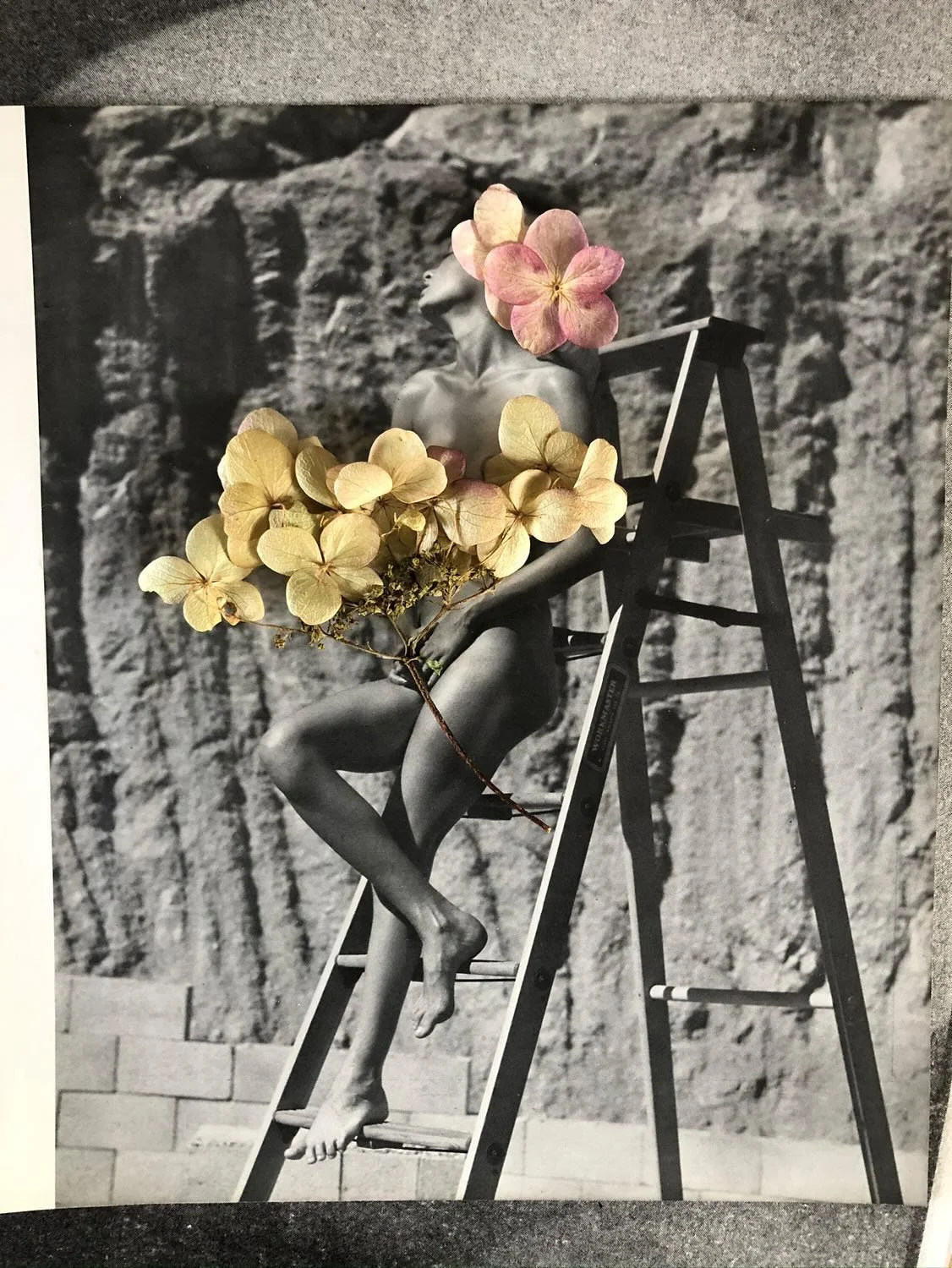 005E8051-C9A6-4787-A381-EBF6810CDFA7 (1).jpeg