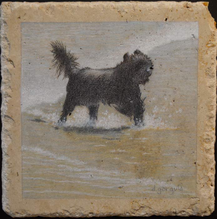" Surf Dog"