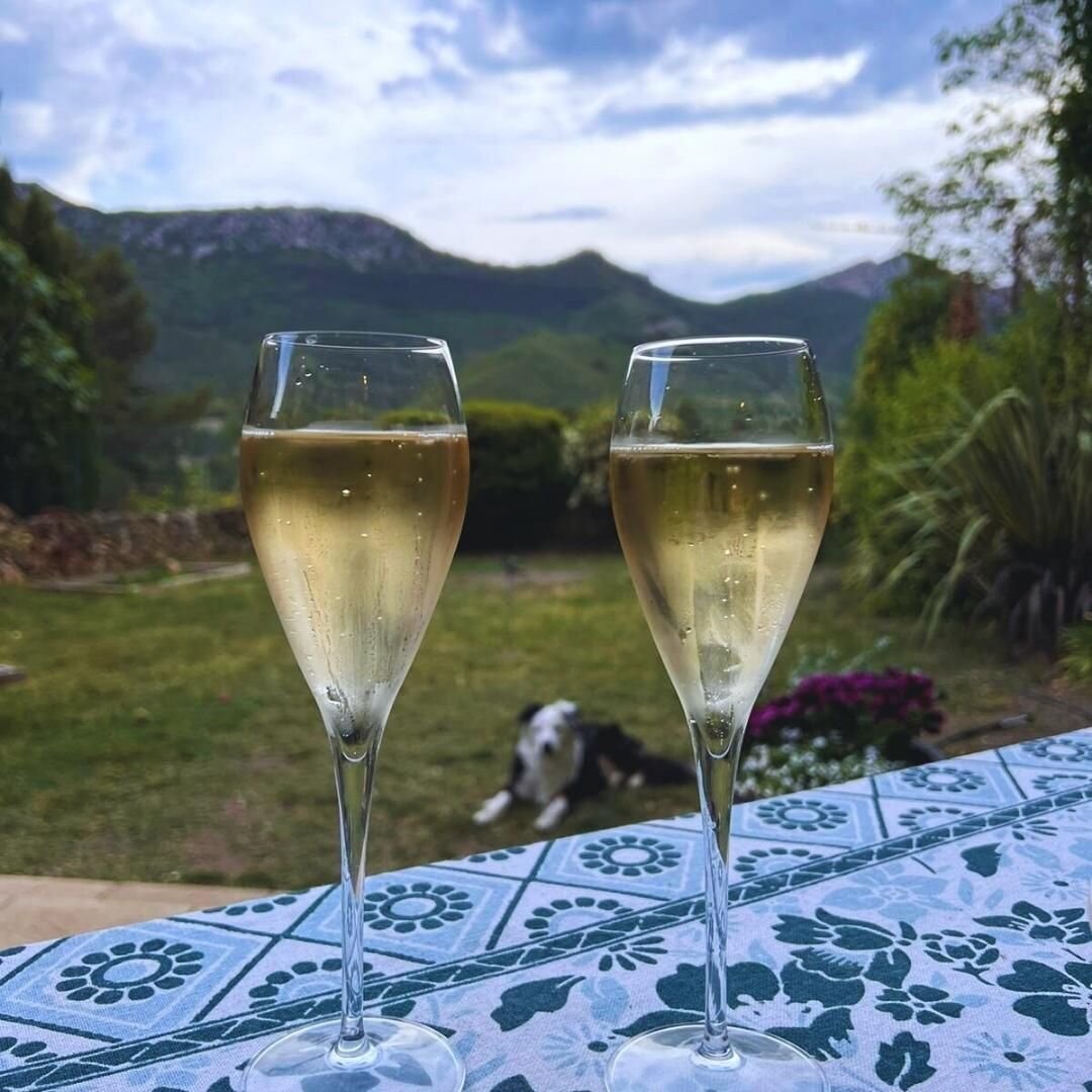 Trying to beat the heat with a little cool off beverage...

How do you stay cool?

#roussillon #heatwave #mountains #cotesduroussillon #vinedog #resfortes #winetime #whitewine #champagne #whitewinelover #winelover #frenchwine #frenchlife #winewinewin