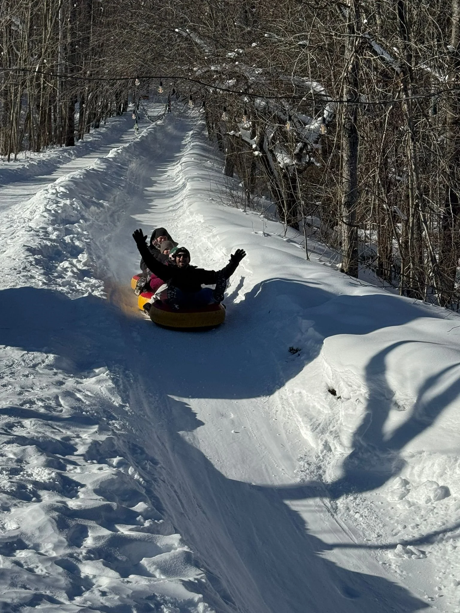 WhatsApp Image 2026-02-01 at 2.09.46 PM.jpeg