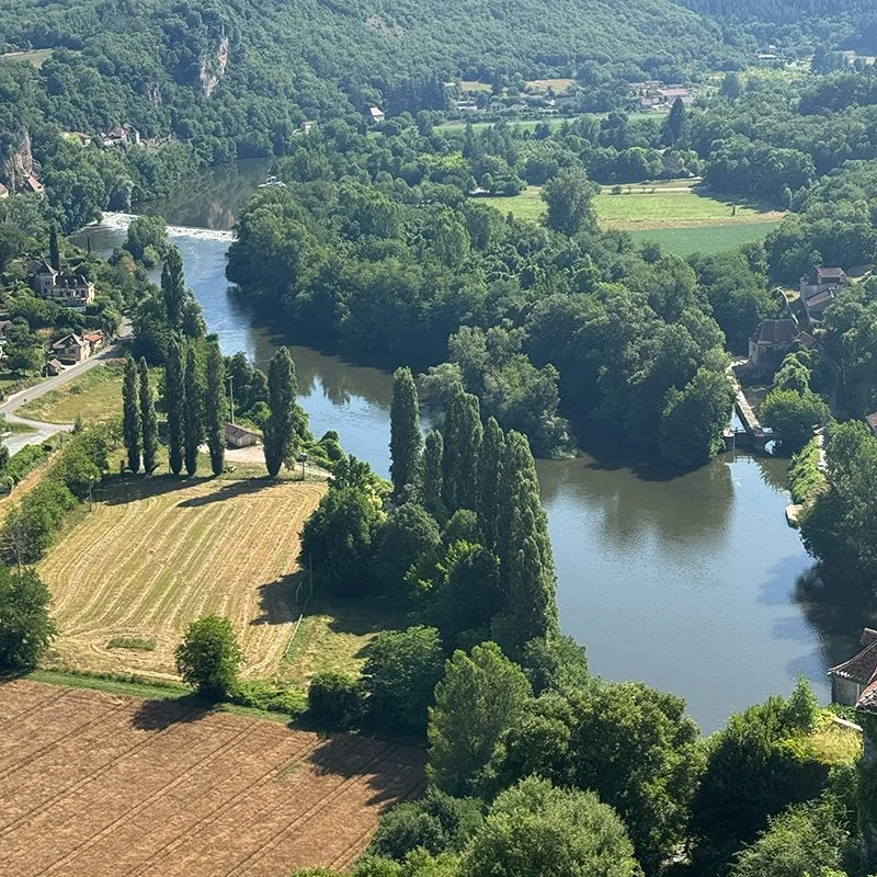 view from above_2025.jpg