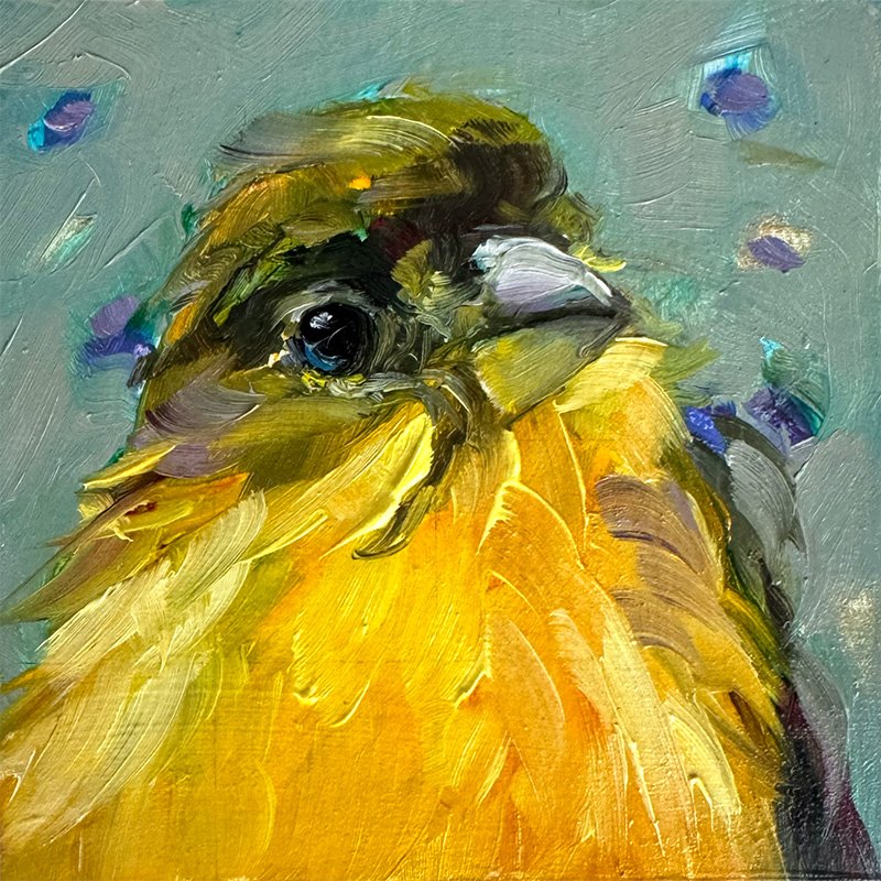 kims mith fine art_original oil painting_gold finch_4x4x.75_cropped.jpg