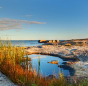Jakob Sahlin i Dagens ETC: Arbetarrörelsens framtid är grön