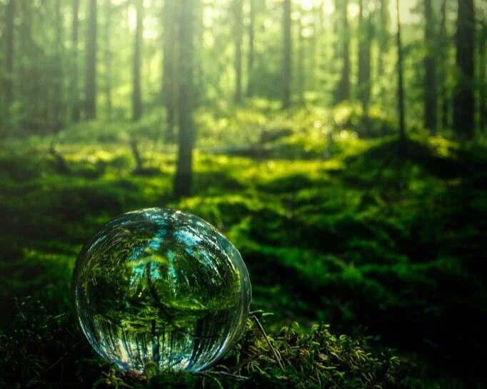 Klimatsossarna tipsar: Tre spännande historier om klimatåret 2021