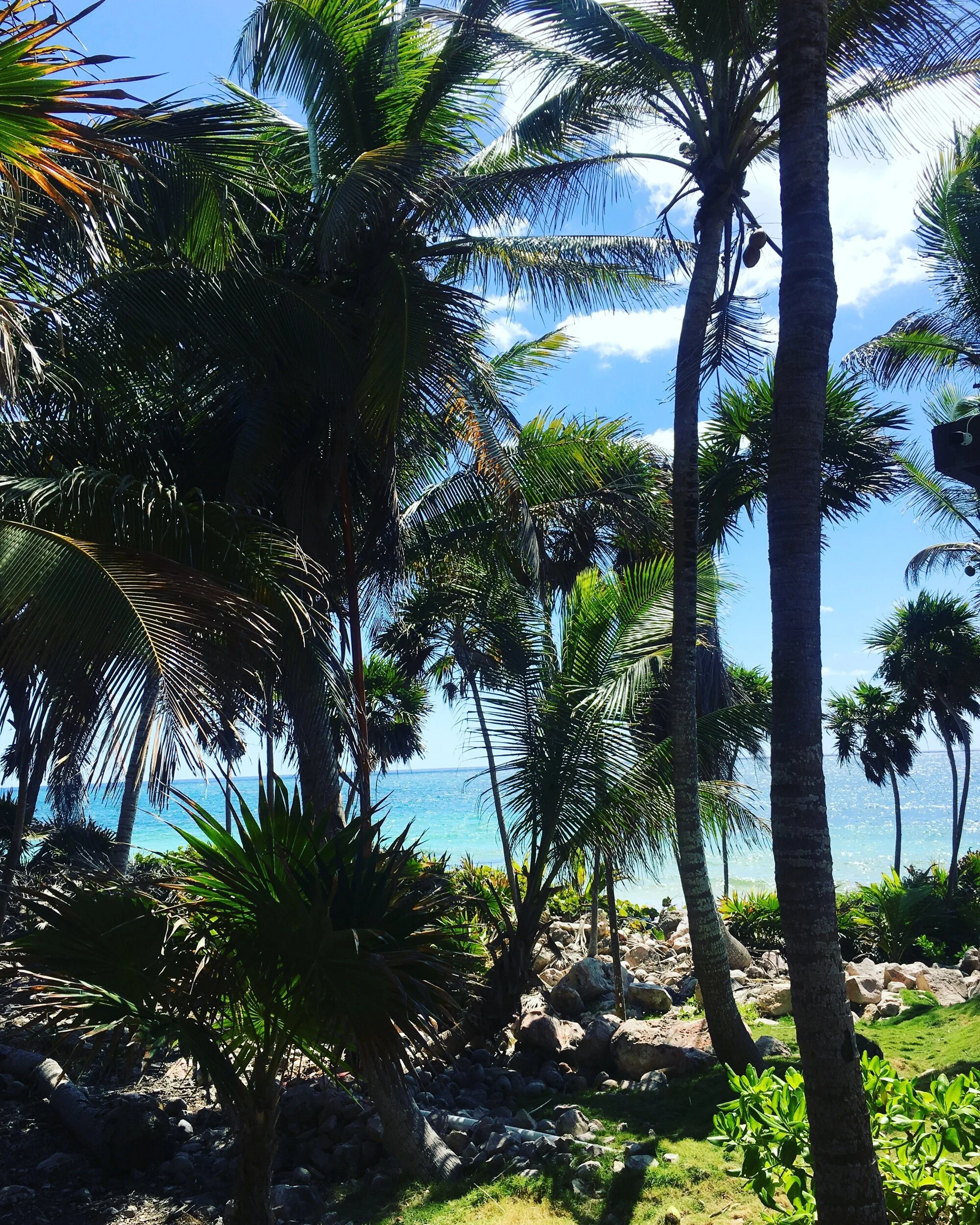 Paradise Awaits