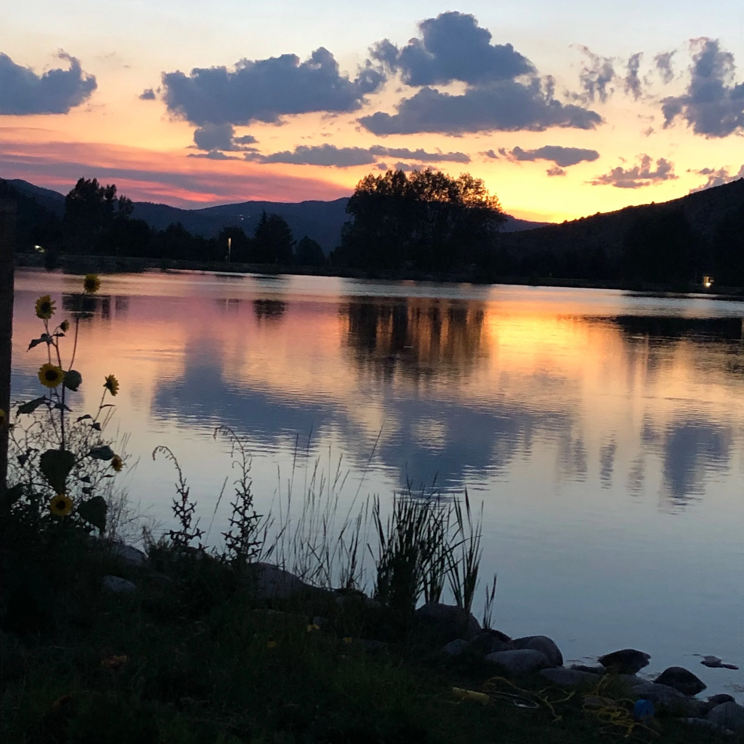 Zen and the Art of Fighting Cancer