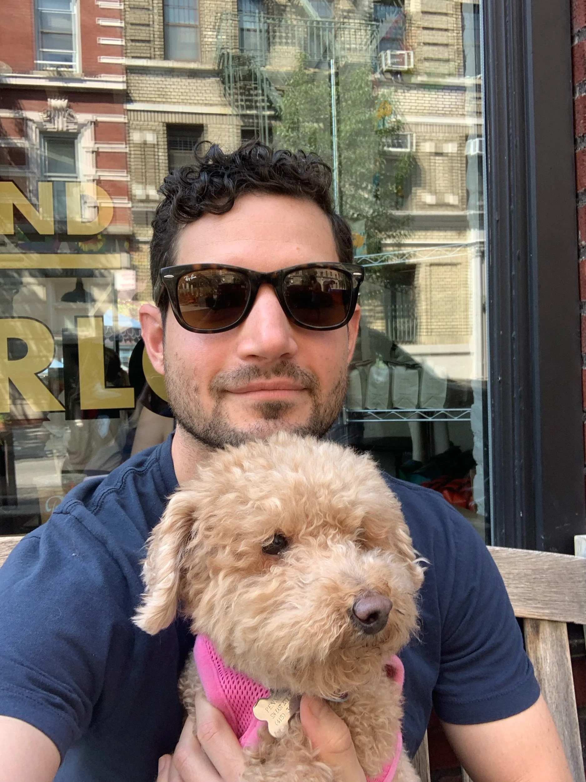 How My Dog Helped Me Get My Act Together Before a Stressful Appointment