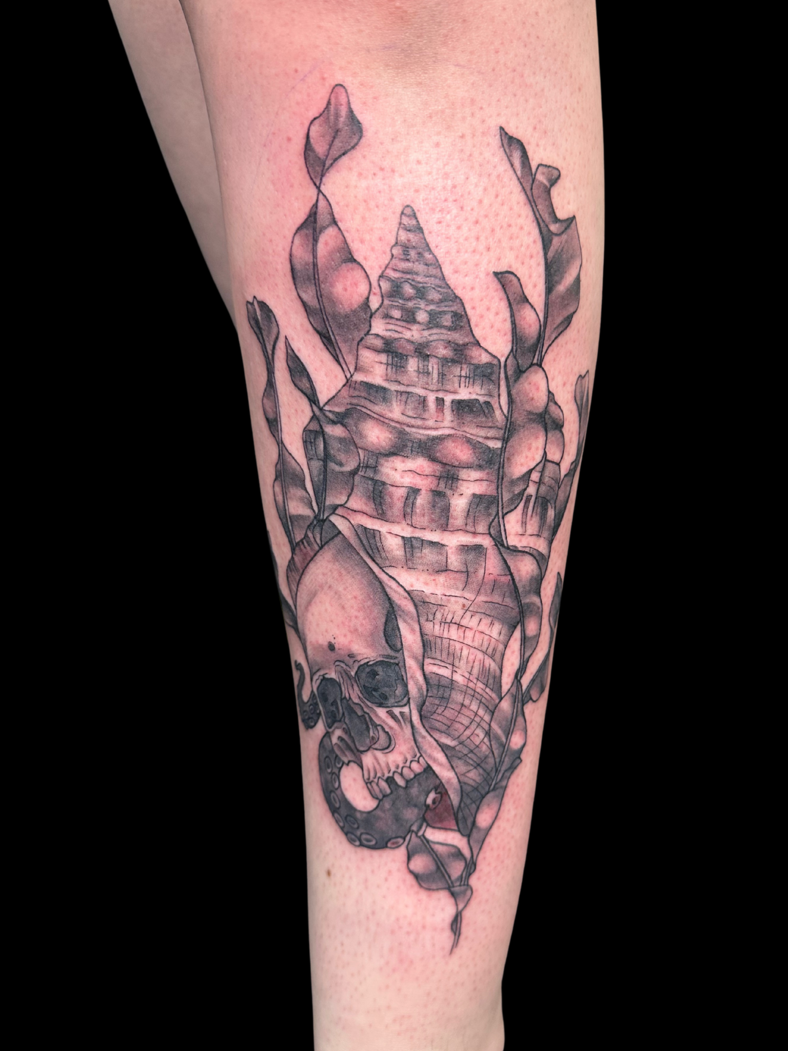 Untitled design.zip - 5.PNG