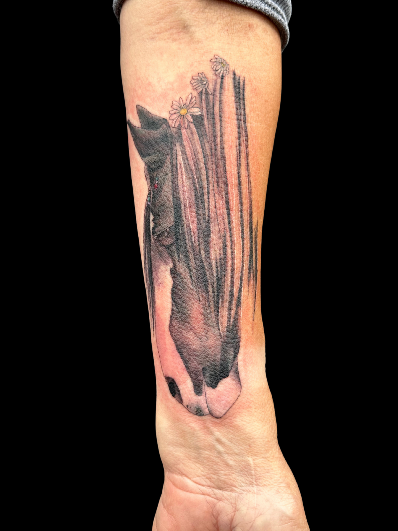 Untitled design.zip - 6.PNG