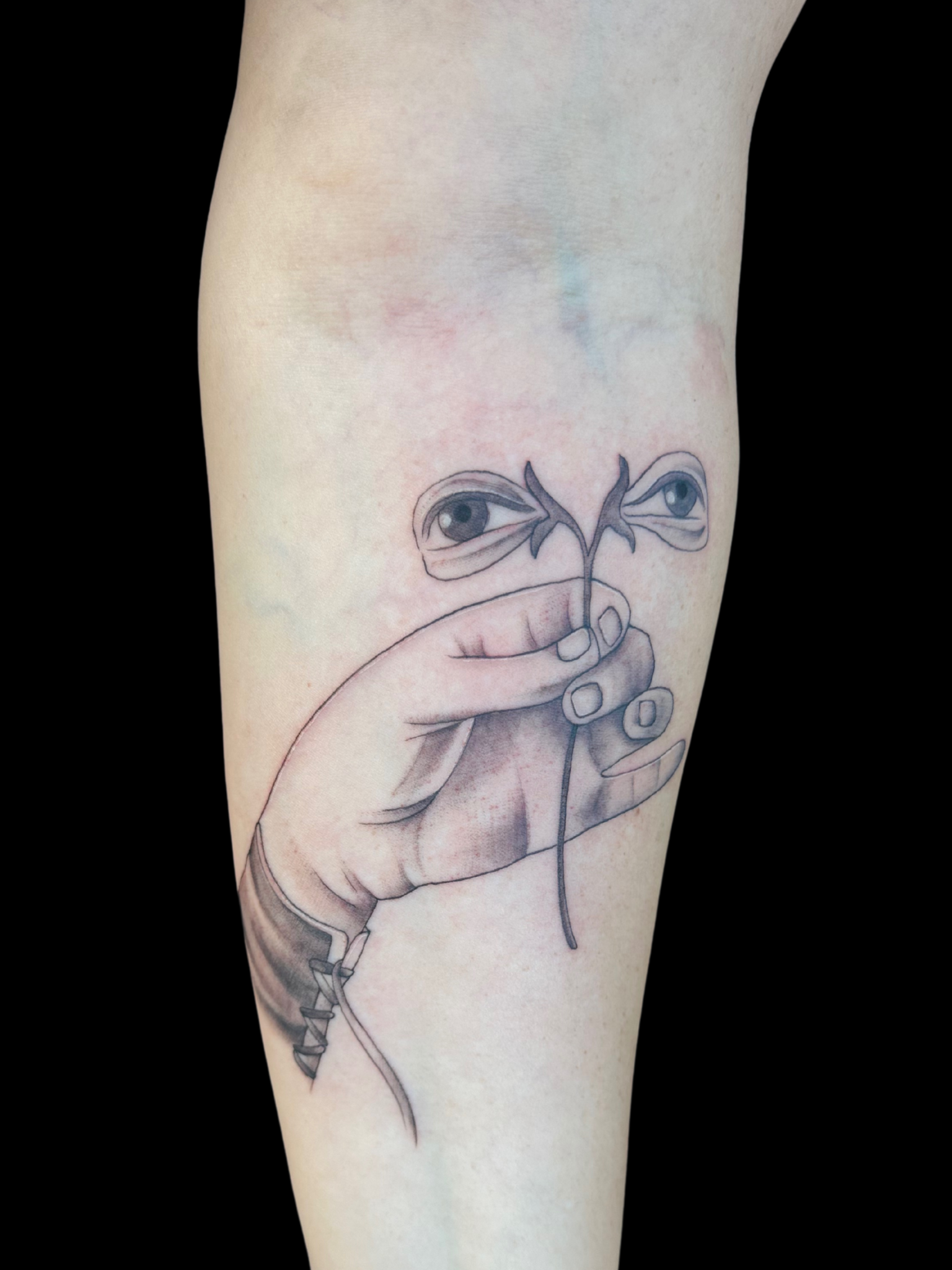 Untitled design.zip - 7.PNG