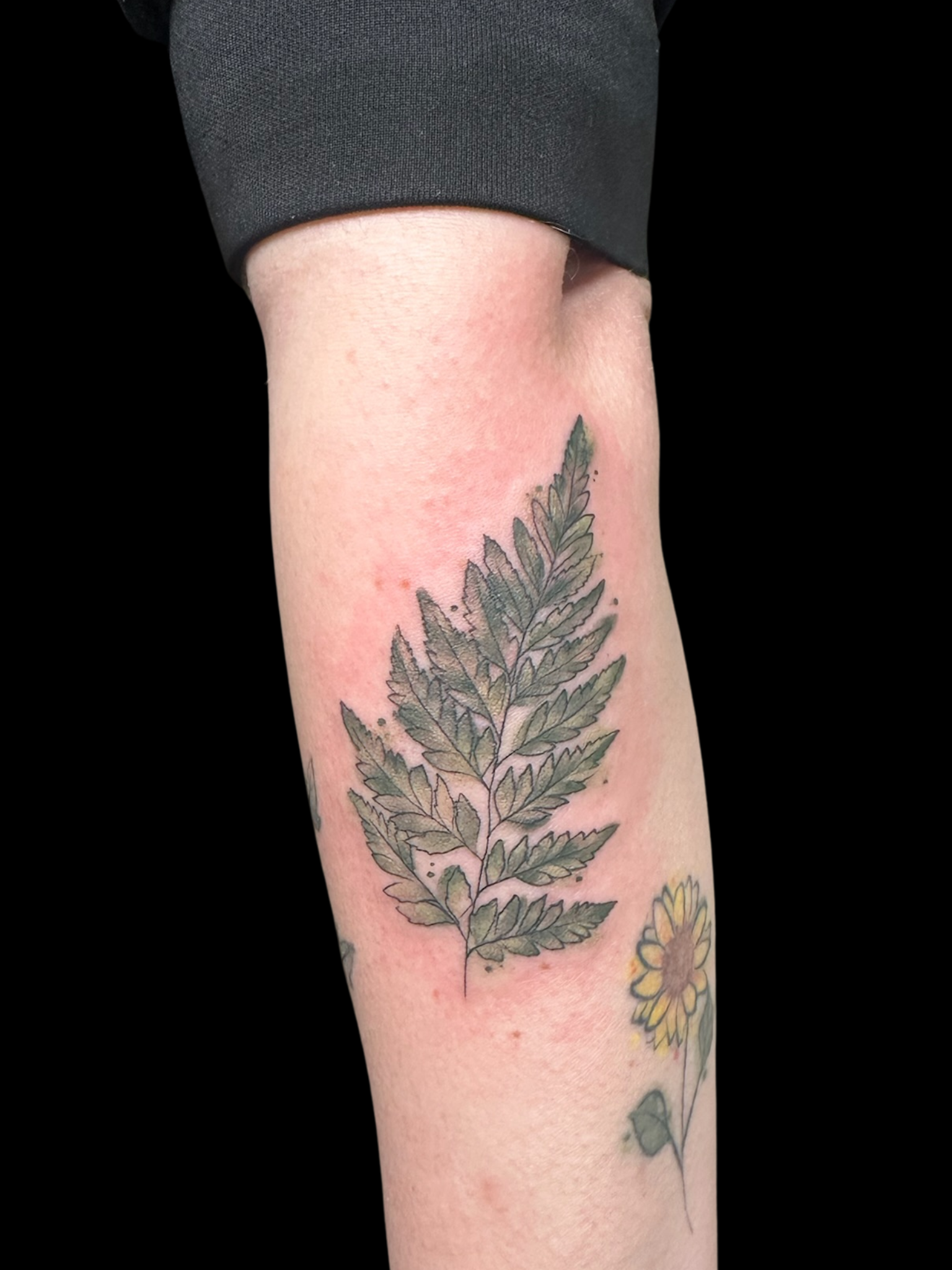 Untitled design.zip - 10.PNG