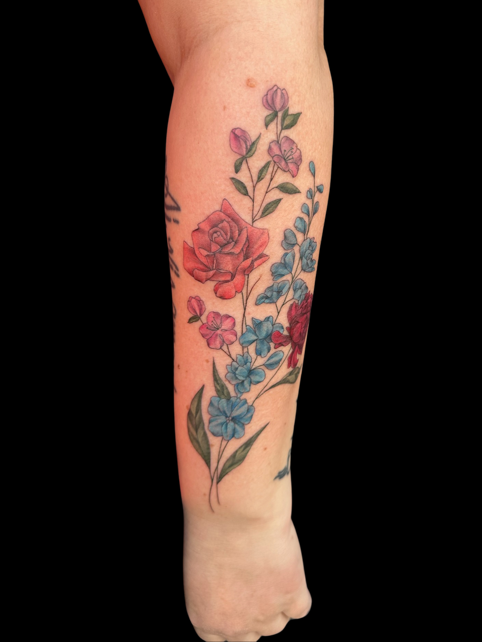 Untitled design.zip - 12.PNG