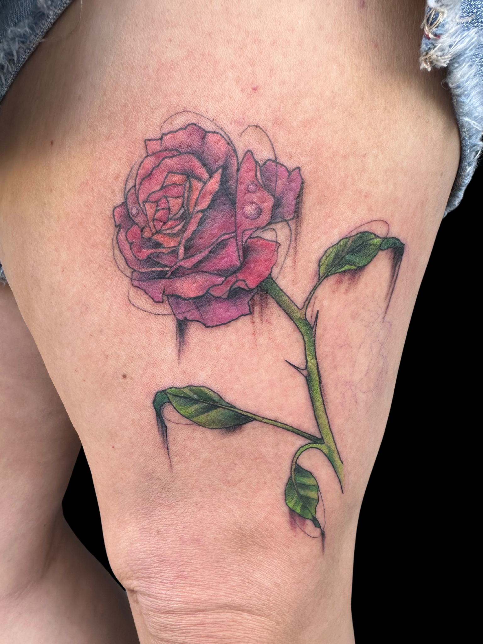 Untitled design.zip - 17.PNG