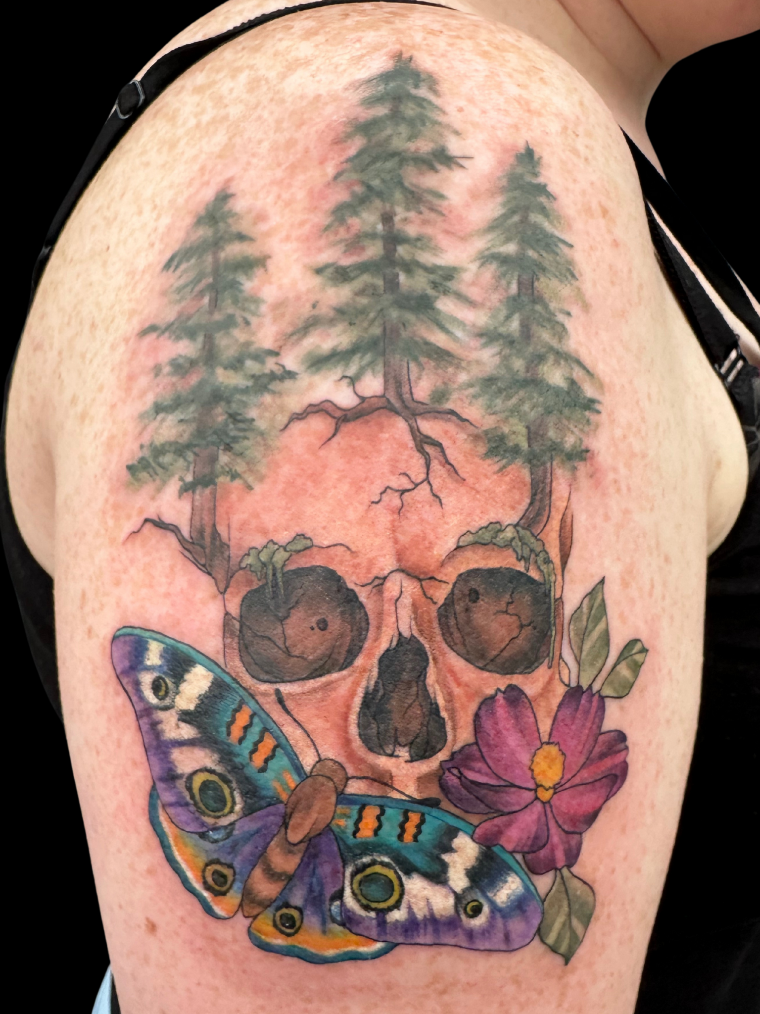 Untitled design.zip - 18.PNG