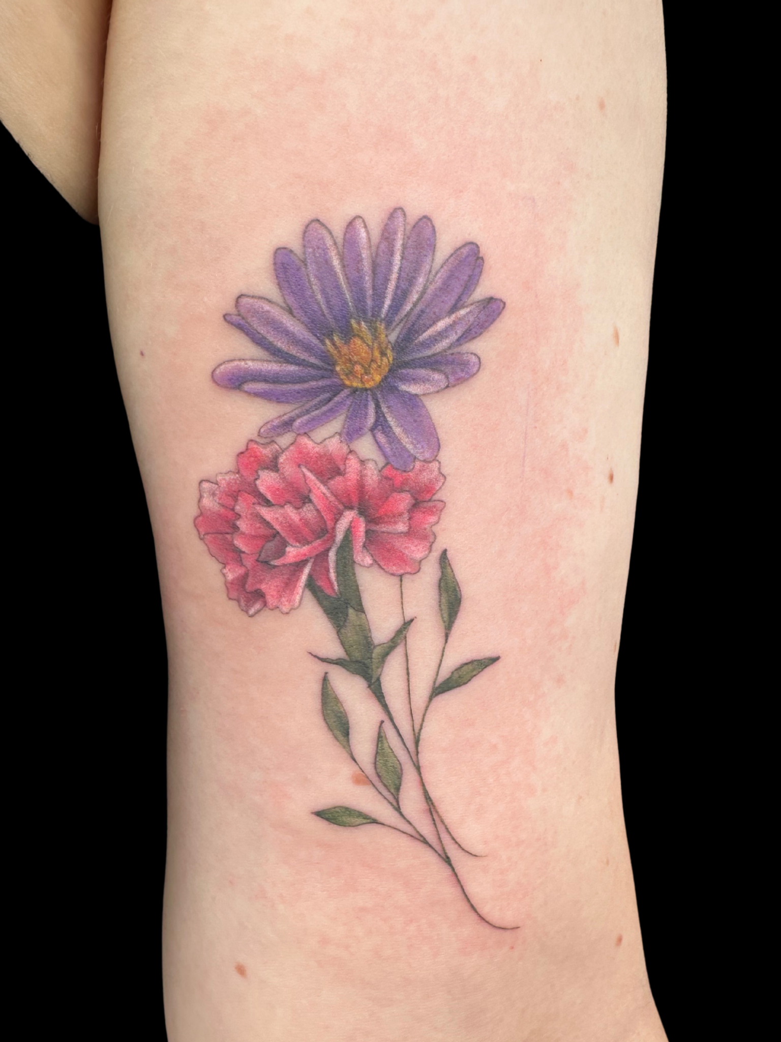 Untitled design.zip - 21.PNG