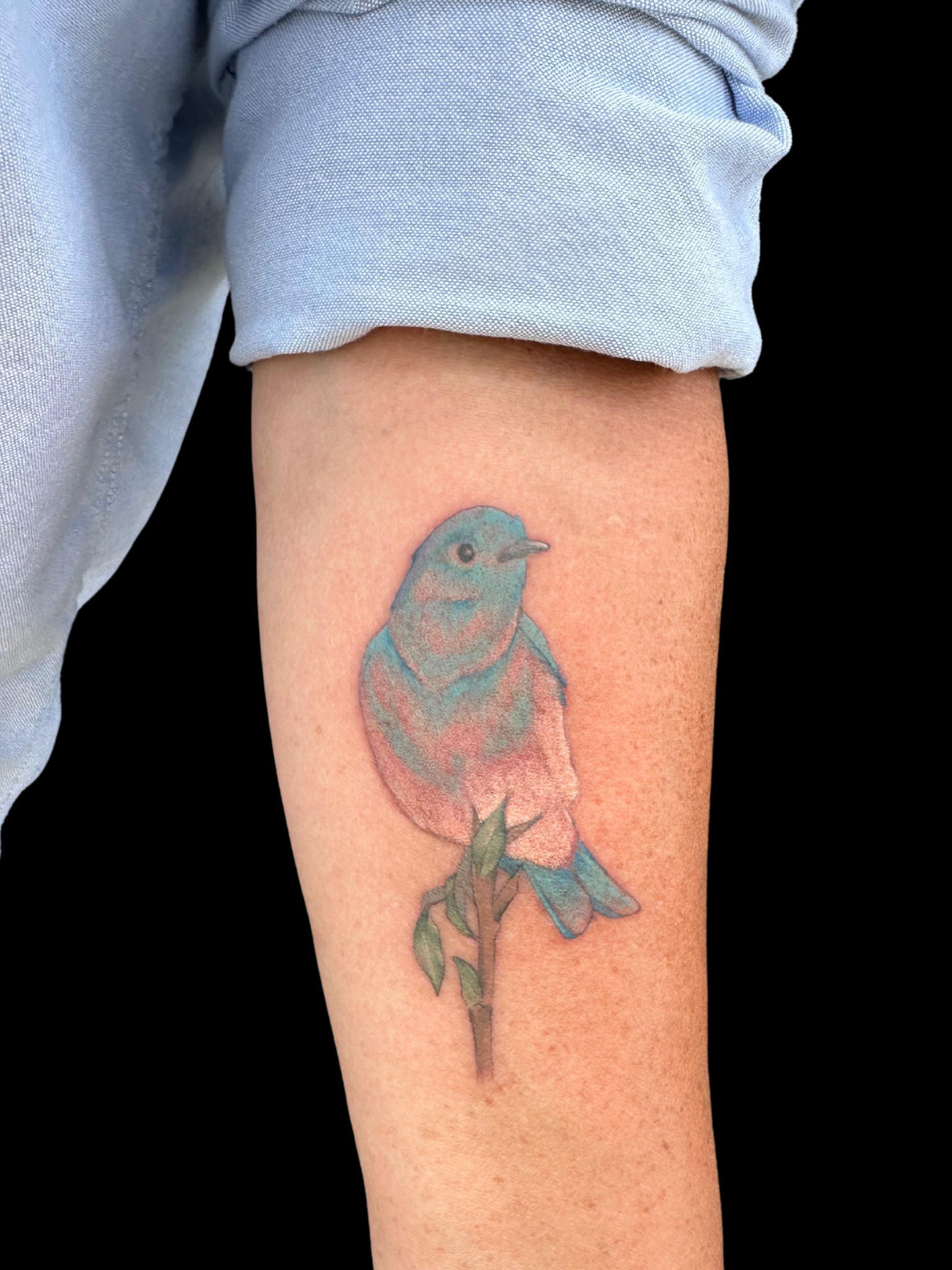 Untitled design.zip - 22.PNG