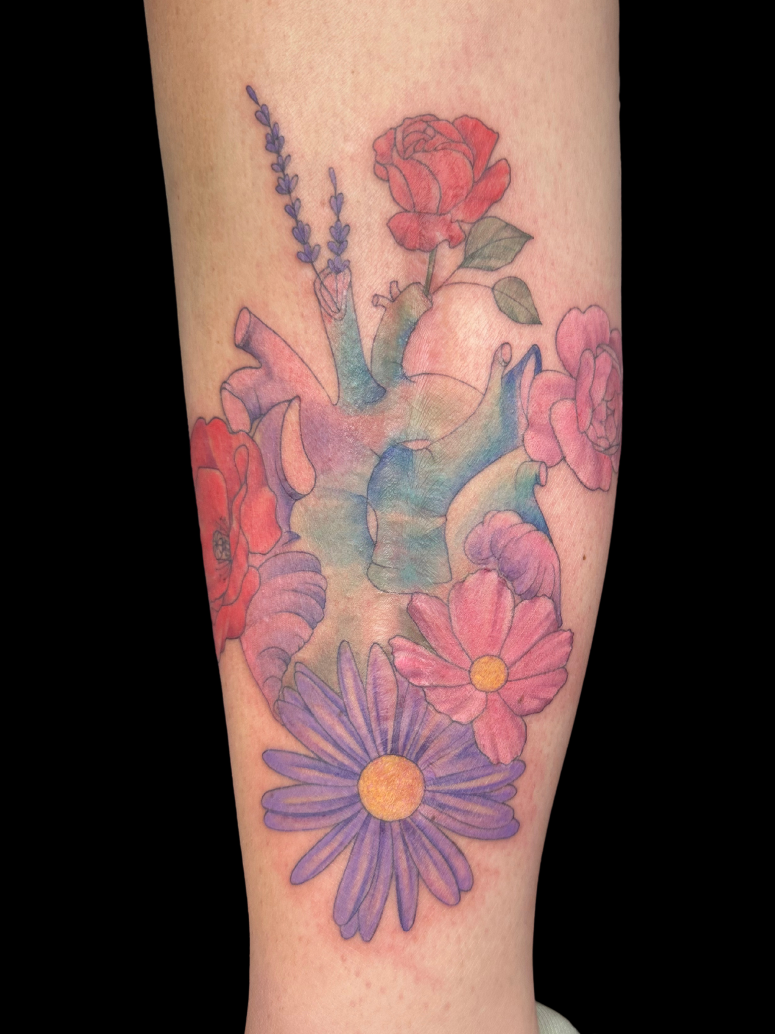 Untitled design.zip - 23.PNG