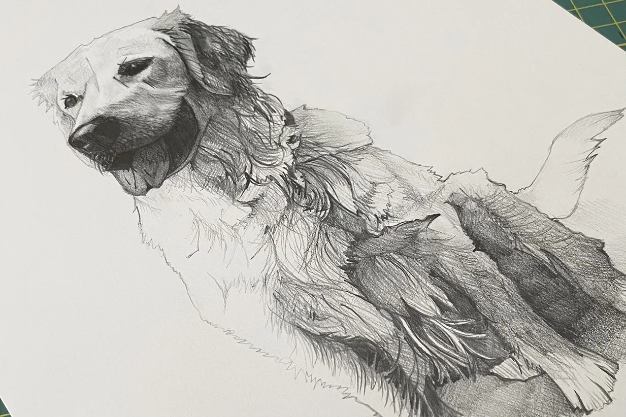 Dog drawing