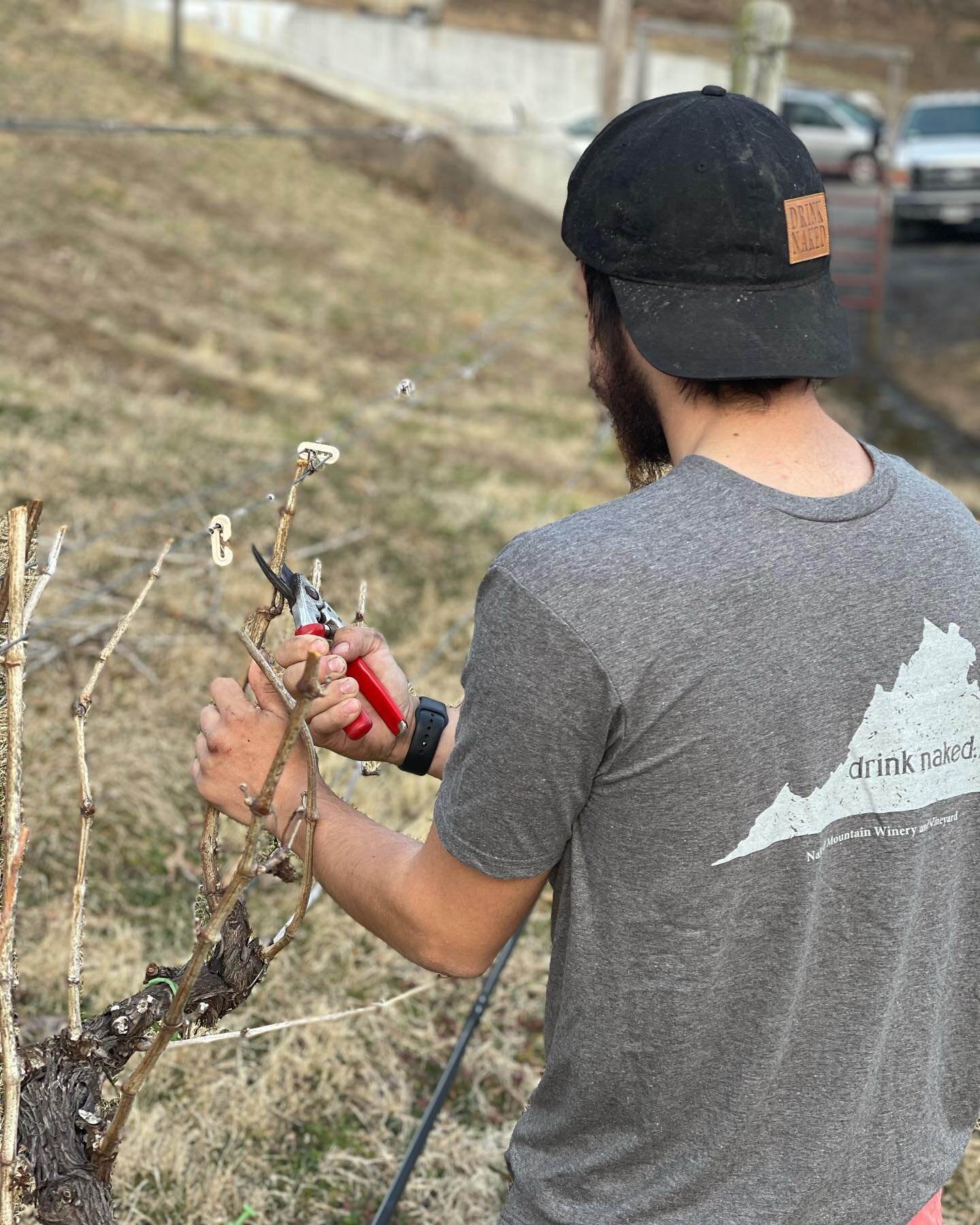 Last round of pruning before the start of the growing season! Looking forward to a great 2021 harvest! #drinknaked 

#drinklocal #shoplocal #wine #winelover #winetasting #vatourism #redwine #whitewine