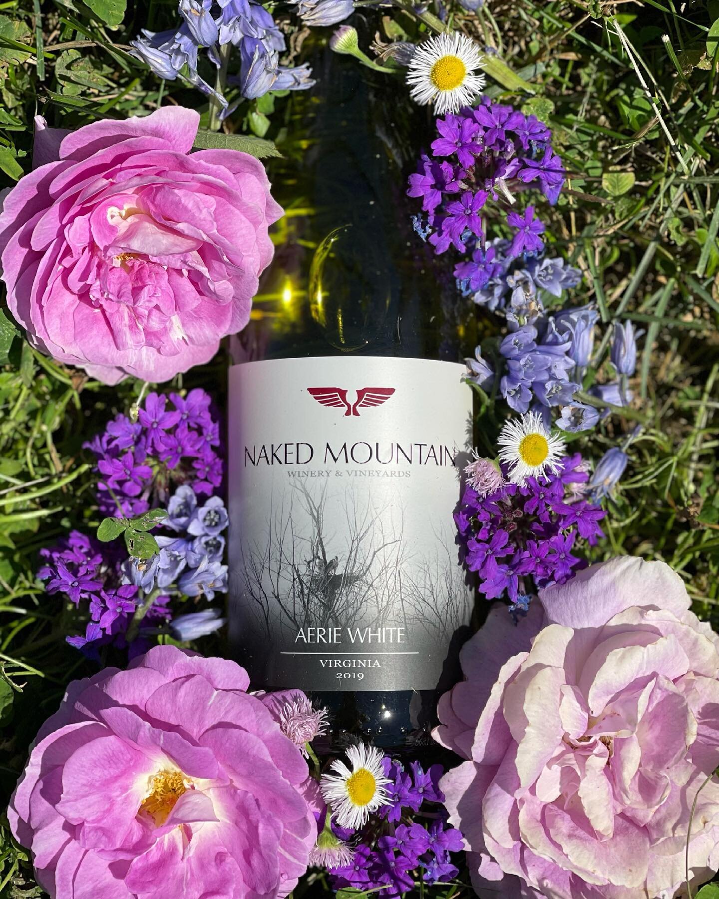 !!!NEW WINE ALERT!!!
Our 2019 Aerie White is here!
40% Petit Manseng, 35% Viognier, 25% Chardonnay.
Come out for great wine and live music from 12-4pm! 🍷 #DrinkNaked 

#nakedmountainwinery #drinklocal #shoplocal #vatourism #vawinetogether #winelover
