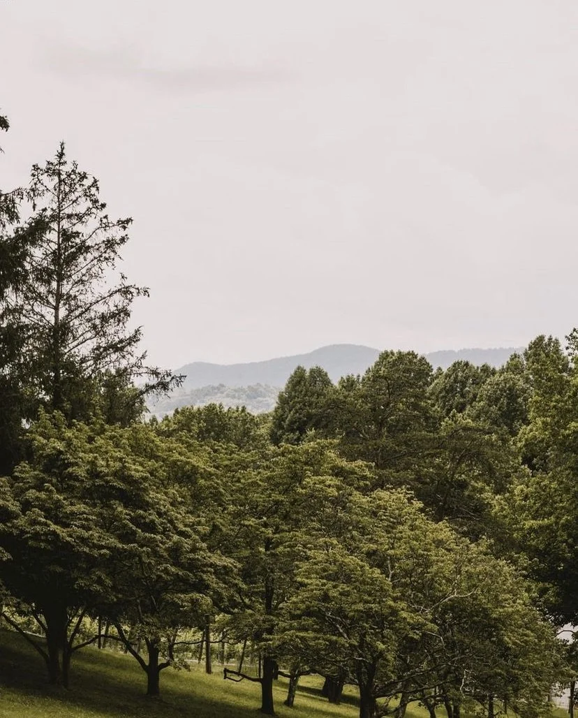 that view.png