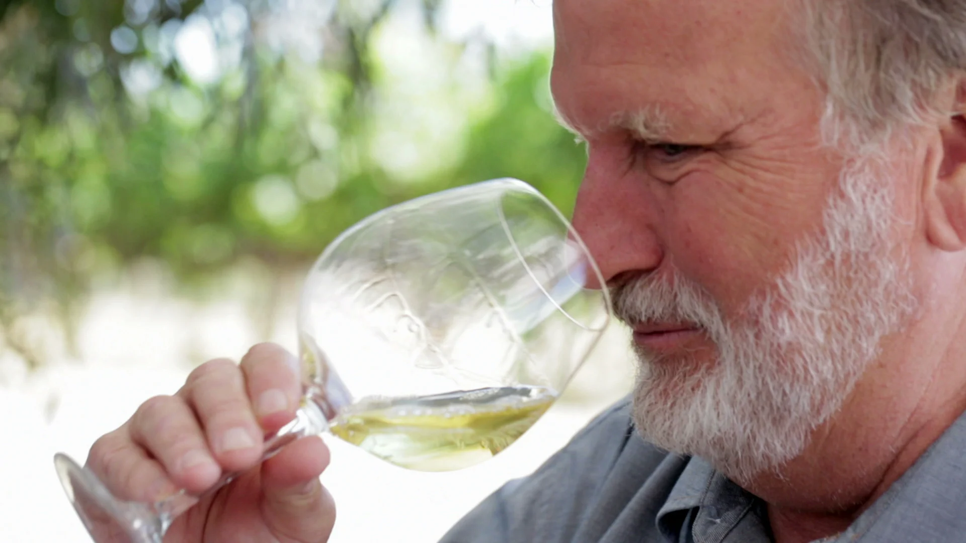 Food Forecast: Napa Wine - Part I