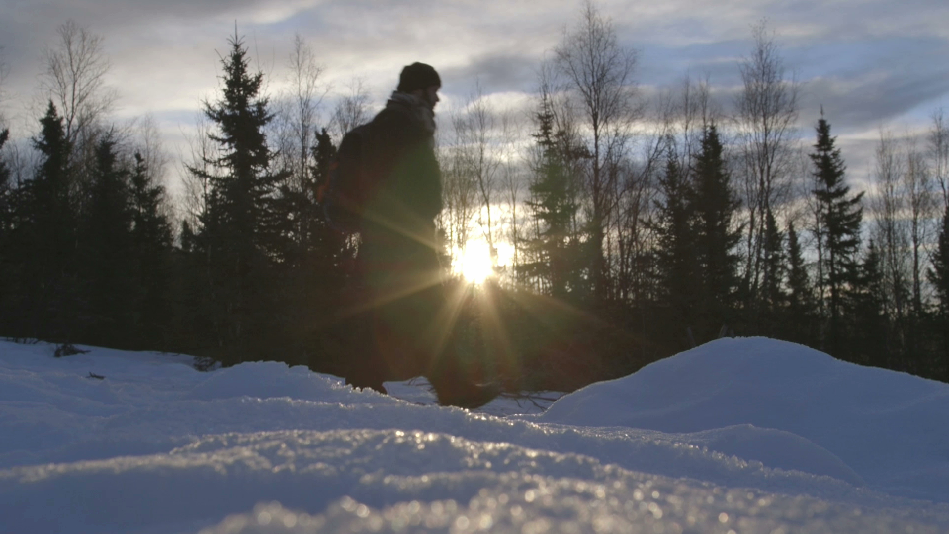 Second Tour: Alaskan Sledding