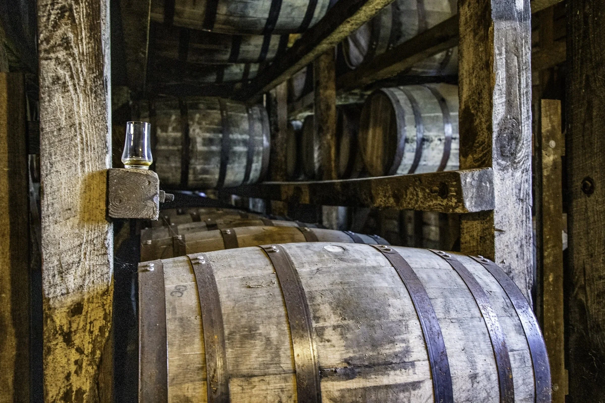The Bourbon Trail