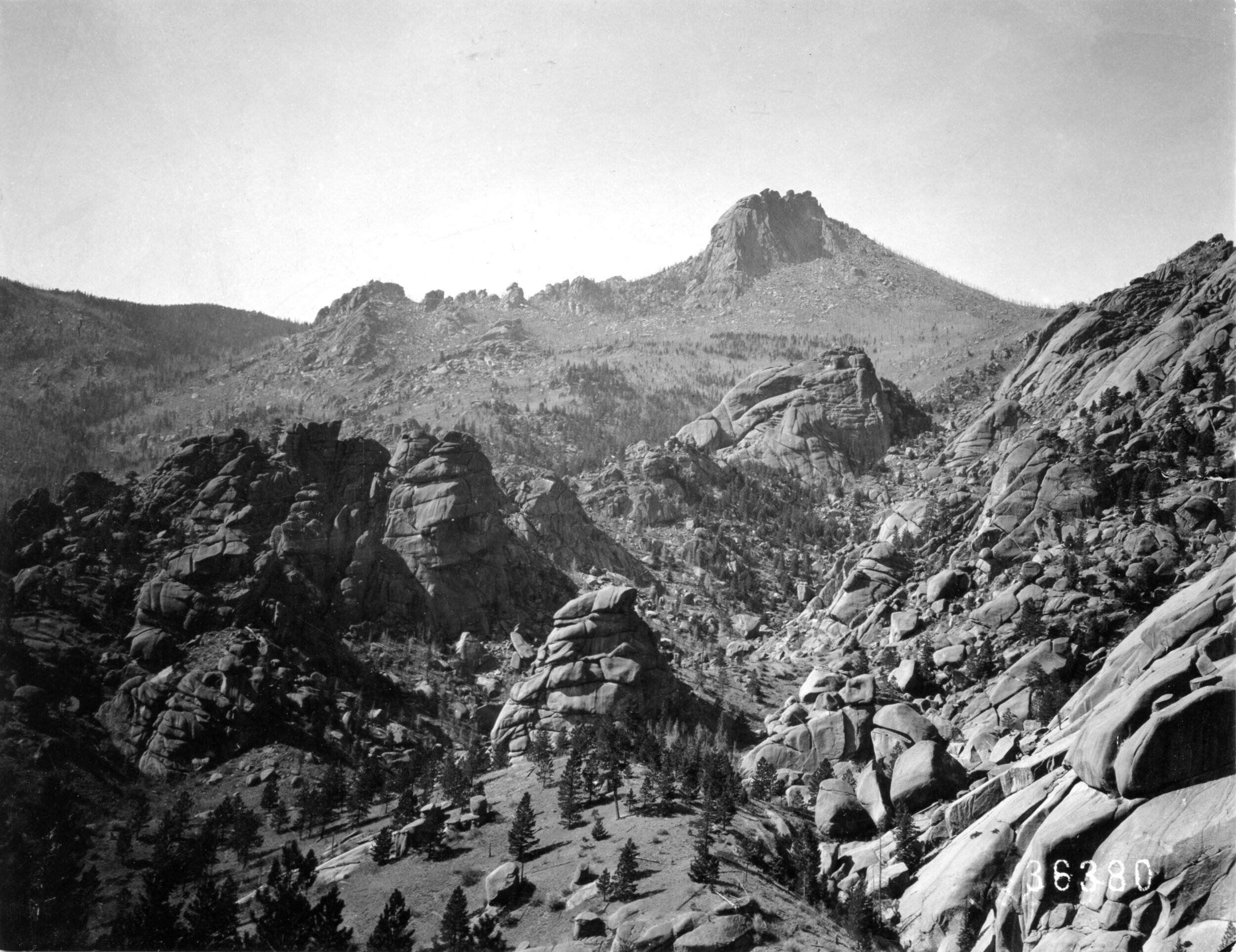  The burn area in the back of this pre-1898 photo taken from the Goose Creek trail, grew back and has burned again since. 