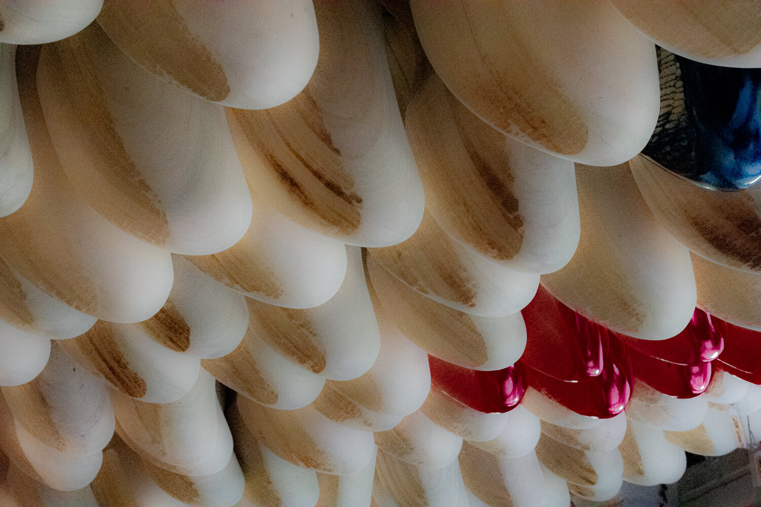 Finding Dorothy's Shoes
