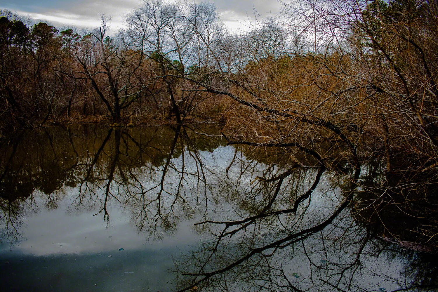 2019-01-20--US_NC_Raleigh_Lake_Lynn_WM-4.jpg