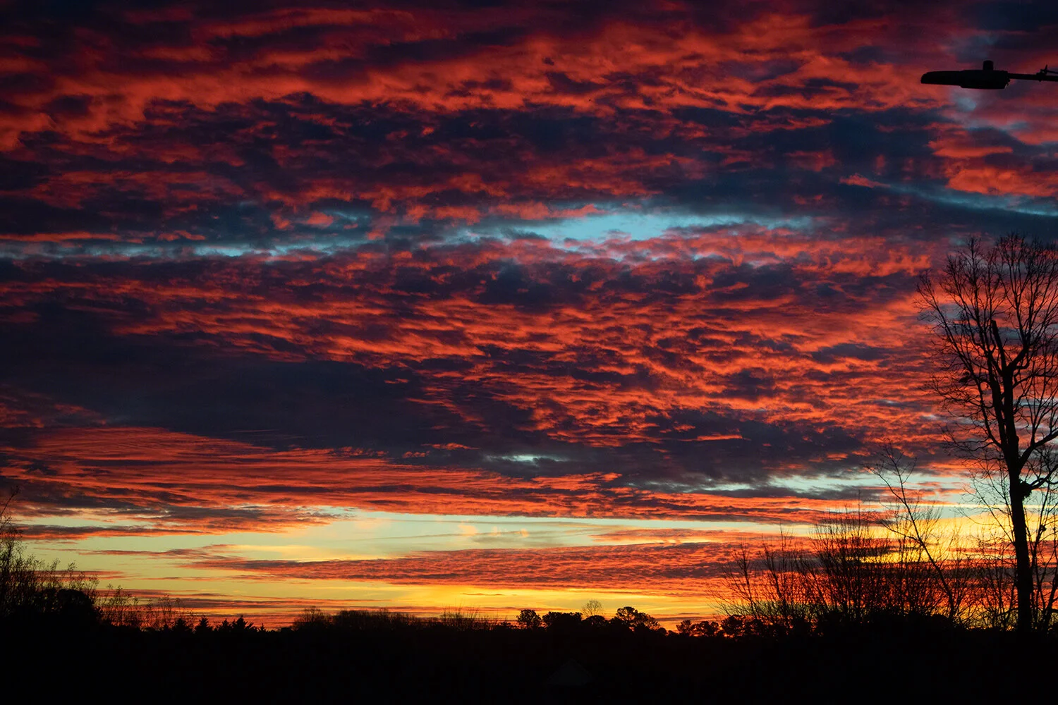 2019-01-07--US_NC_Raleigh--Morning_skies_at_sunrise_3_WM.jpg