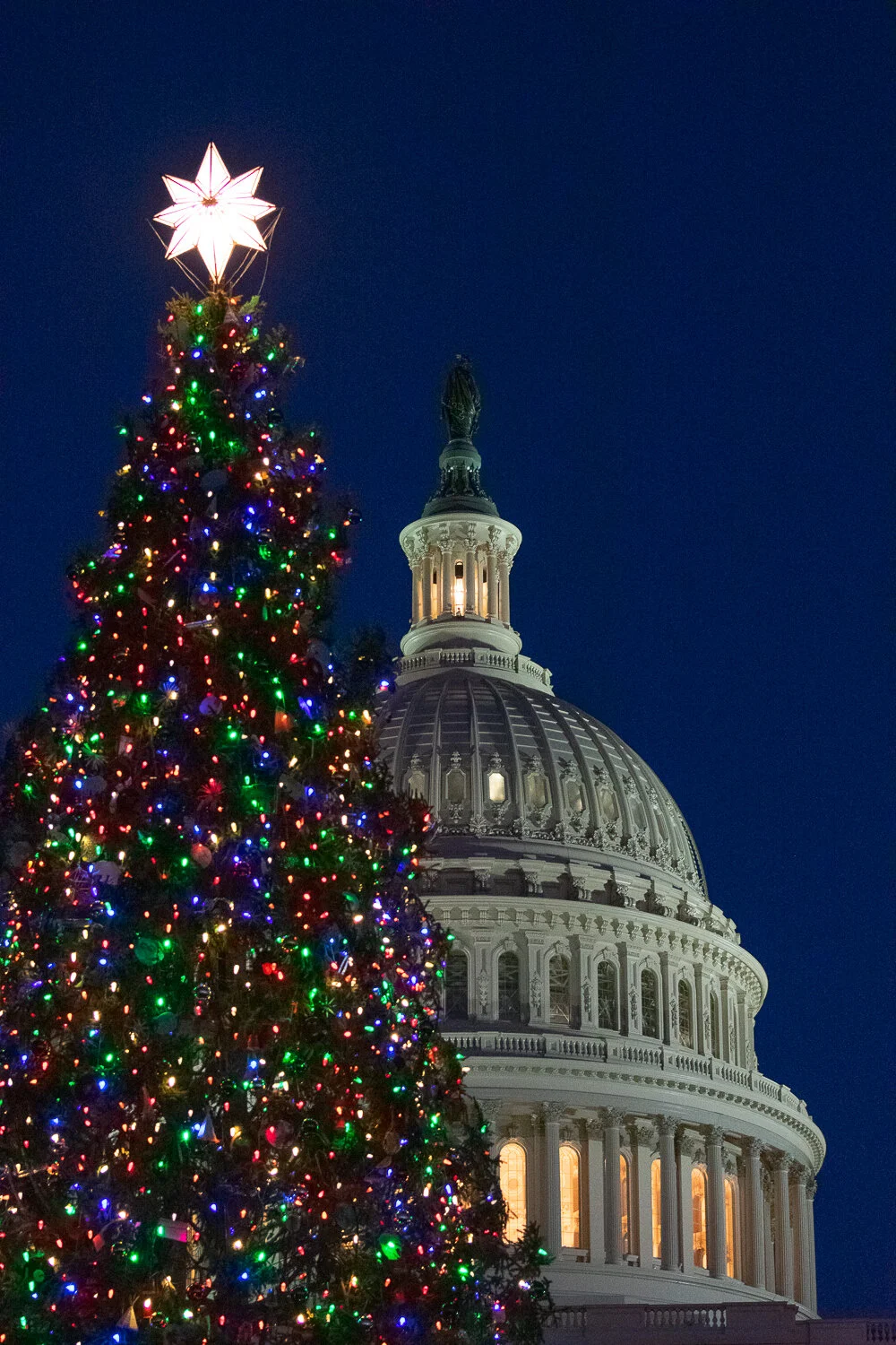 2017-12-11--US_Washington_DC_WM_rs-15.jpg