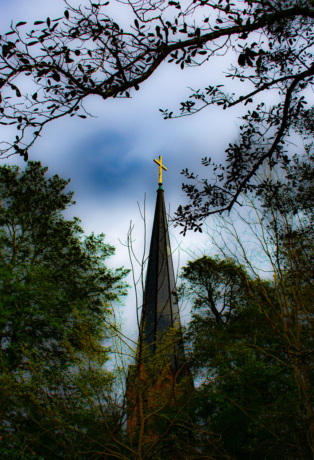 2019-06-01--Tarboro_show_WM-10.jpg