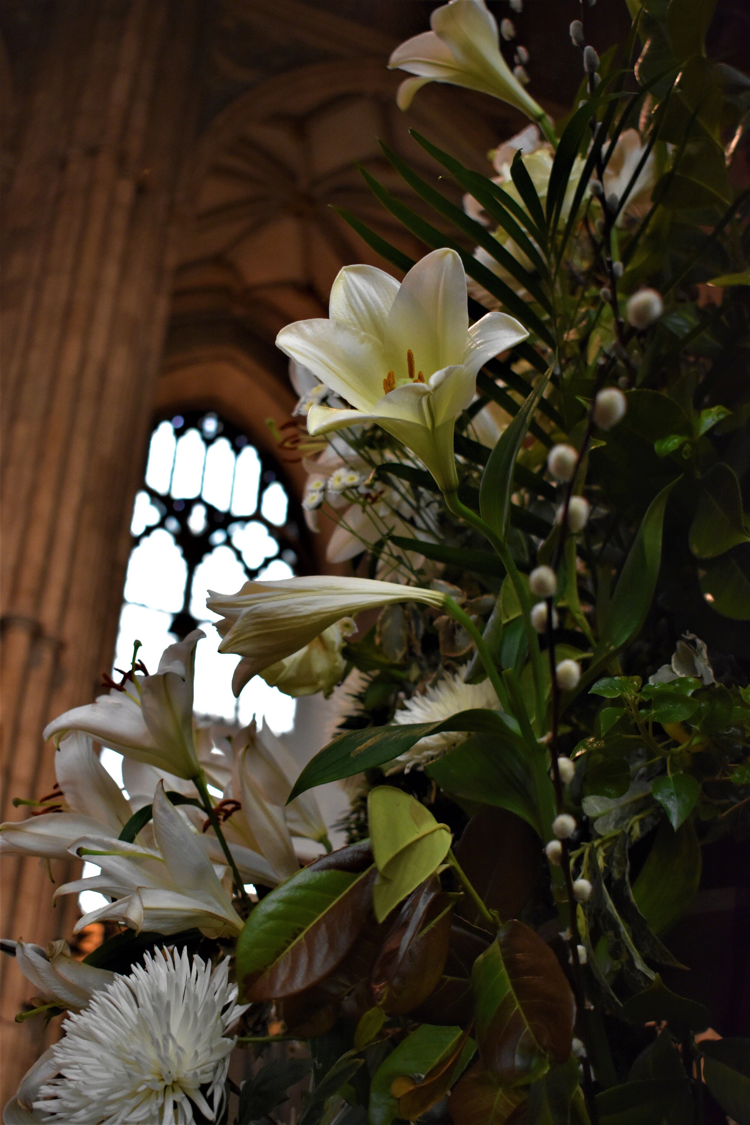 2017--UK_England_Canterbury_Easter_Flowers_WM_rs.jpg
