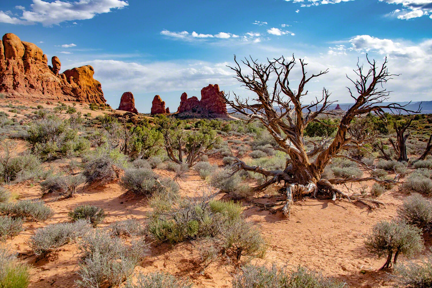 2021-05-xx--US_UT_Moab--Arches_National_Park--WM-3.jpg