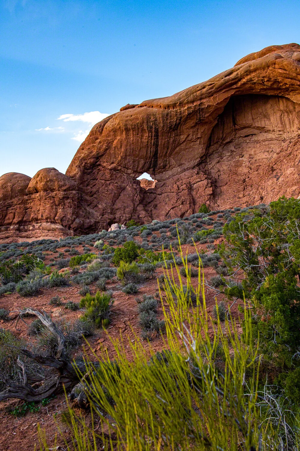 2021-05-xx--US_UT_Moab--Arches_National_Park--WM-5.jpg