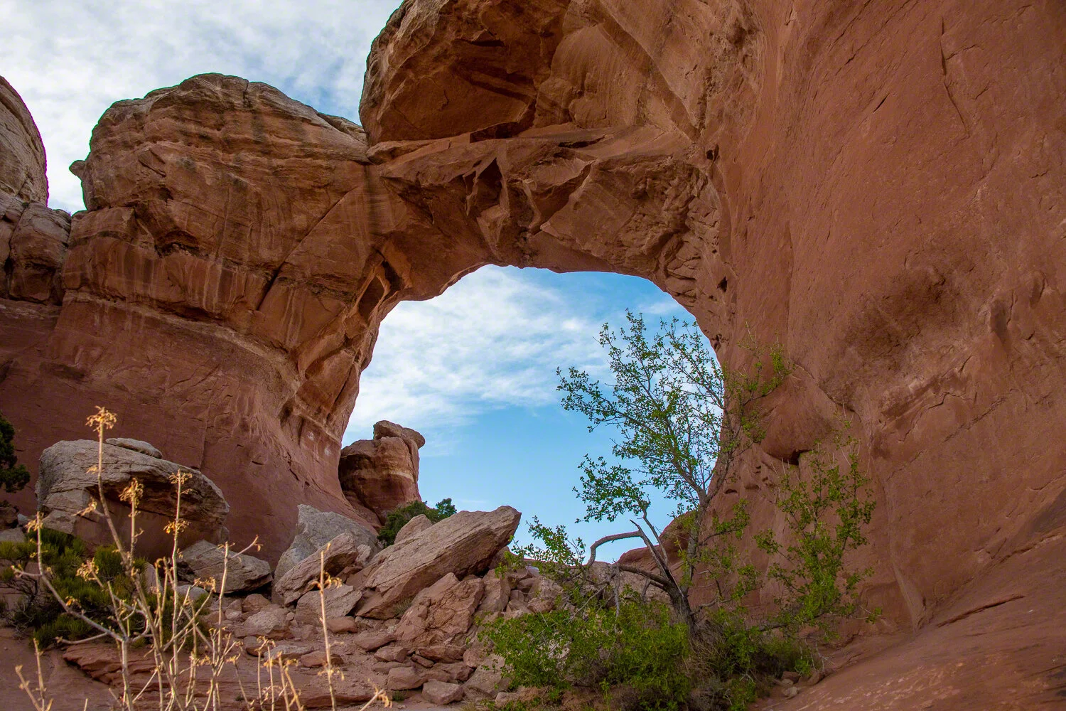 2021-05-xx--US_UT_Moab--Arches_National_Park--WM-14.jpg