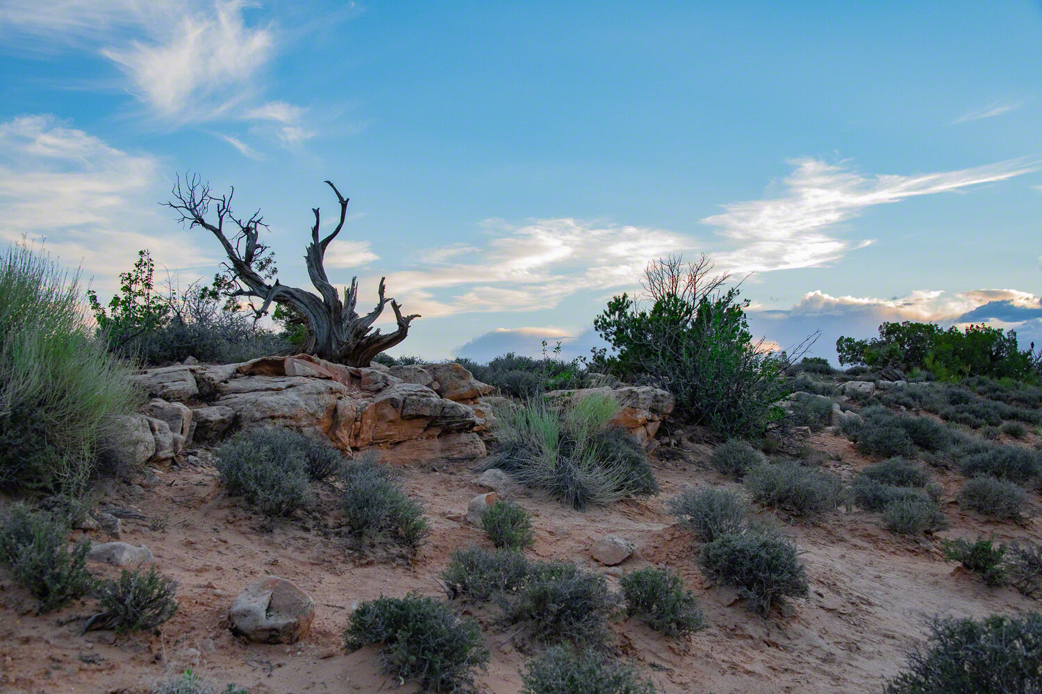 2021-05-xx--US_UT_Moab--Arches_National_Park--WM-15.jpg