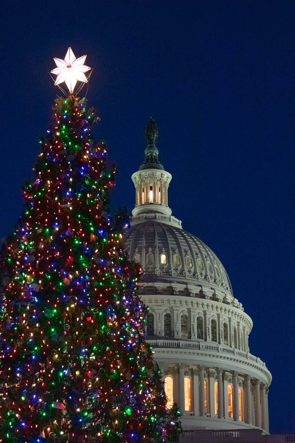 2017-12-11--US_Washington_DC_WM_rs-15.jpg