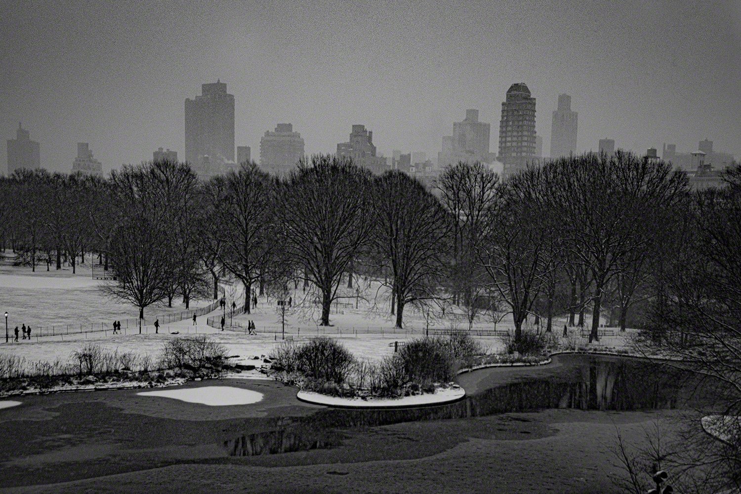 2020-01-18--US__NYC_Central_Park_--Turtle_Pond_WM.jpg