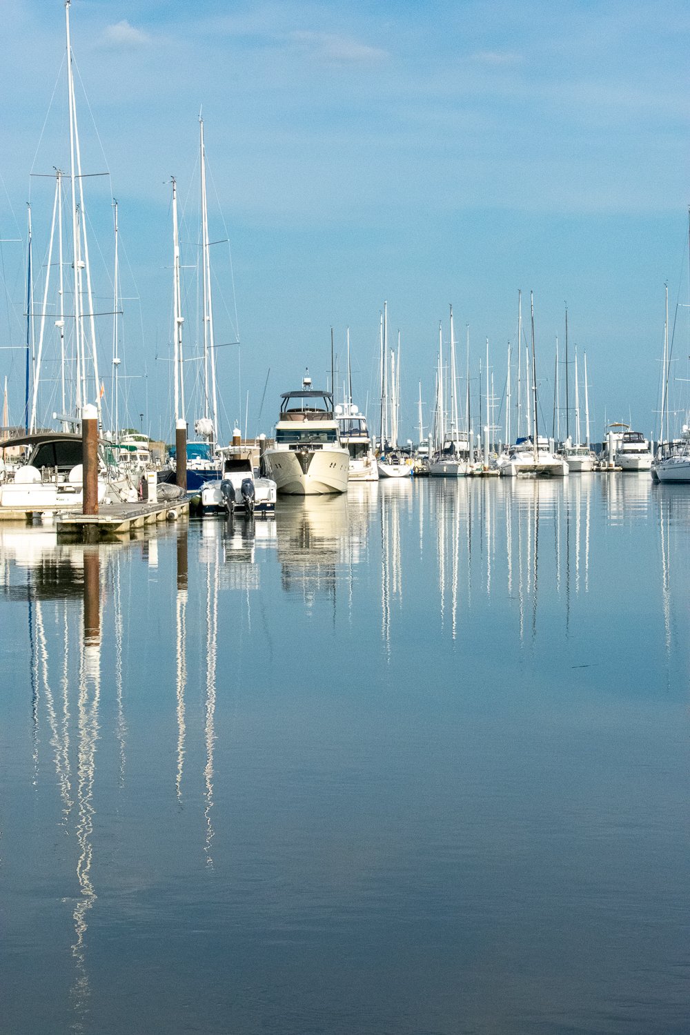 2018-06-xx--US_SC_Charleston_WM.jpg