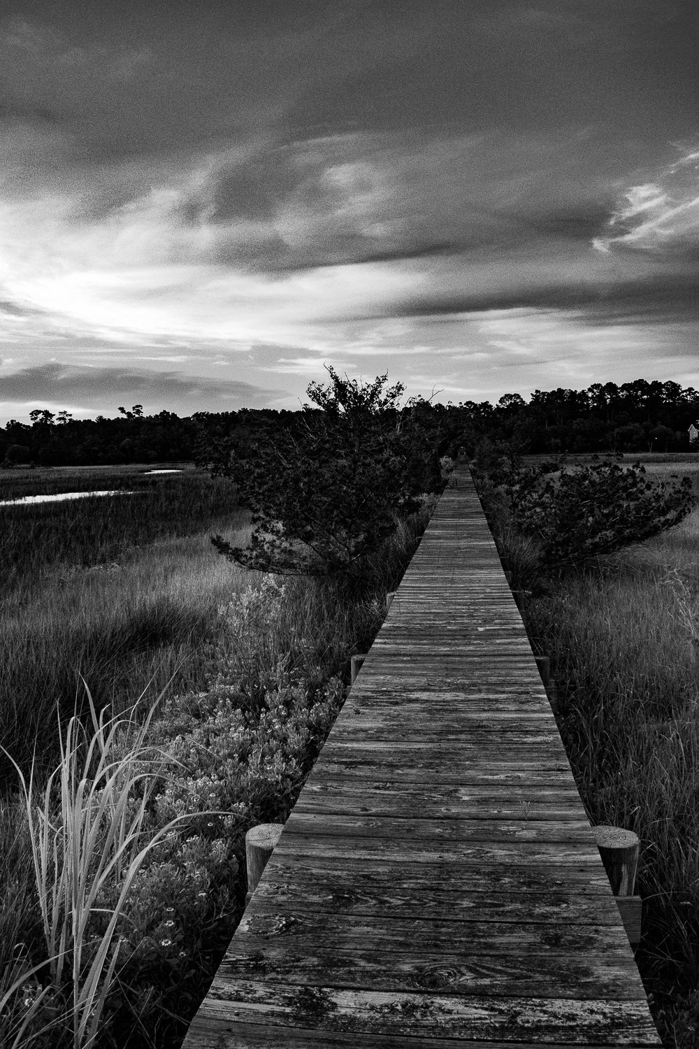 2018-06-xx--US_SC_Charleston_WM-3.jpg
